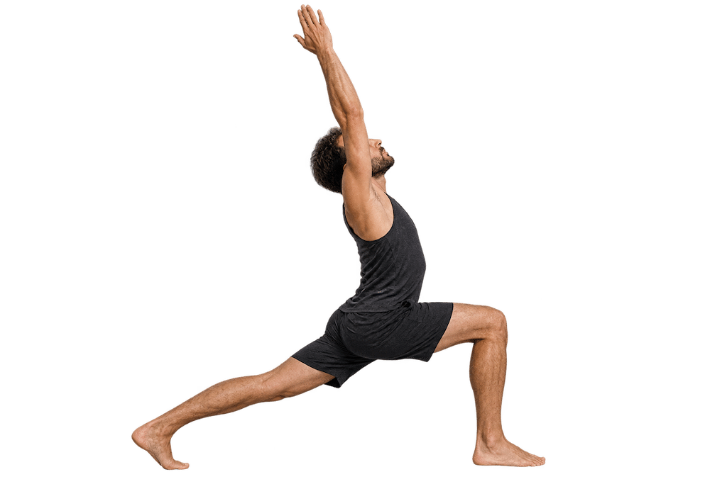 Vinyasa Yoga